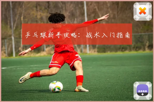 乒乓球新手攻略：战术入门指南