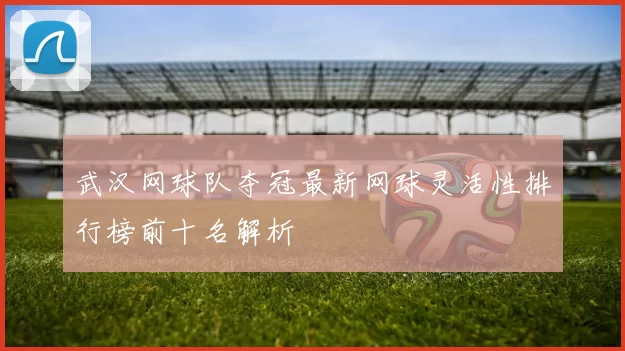 武汉网球队夺冠最新网球灵活性排行榜前十名解析