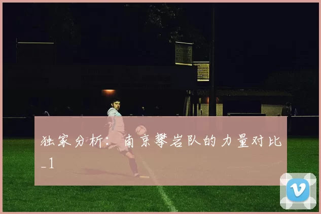 独家分析：南京攀岩队的力量对比_1