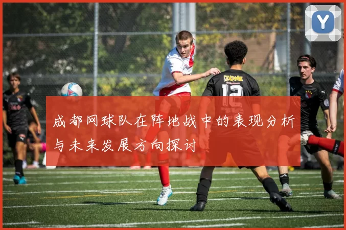 成都网球队在阵地战中的表现分析与未来发展方向探讨