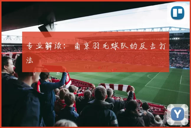 专业解读：南京羽毛球队的反击打法